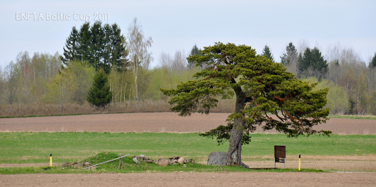 Haanja in South Estonia